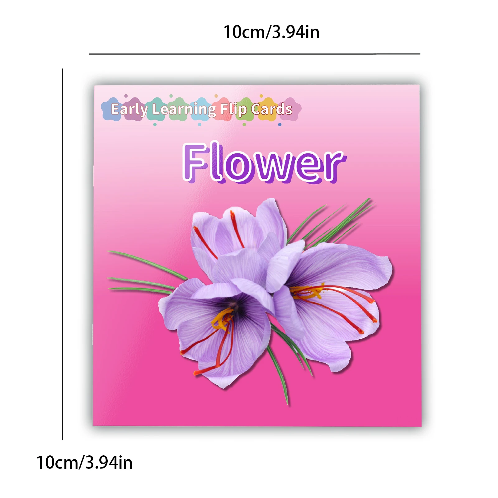 Flower Theme Card Book - Vivid Knowledge Card Book for Early Learning, Visually Stimulating Educational Cards