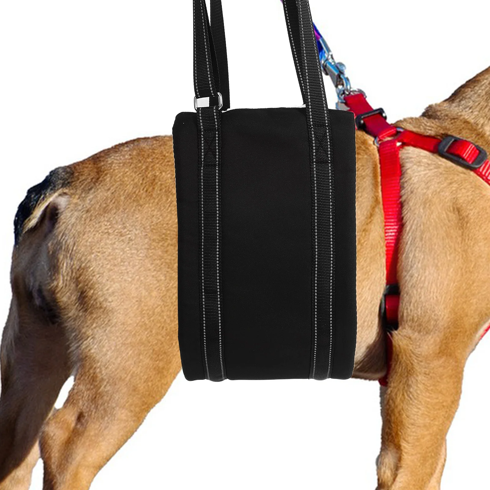 

Durable Adjustable Dog Rear Leg Sling Comfortable Support Harness For Injured Aging Pets Outdoor Lifting Band Rehabilitation