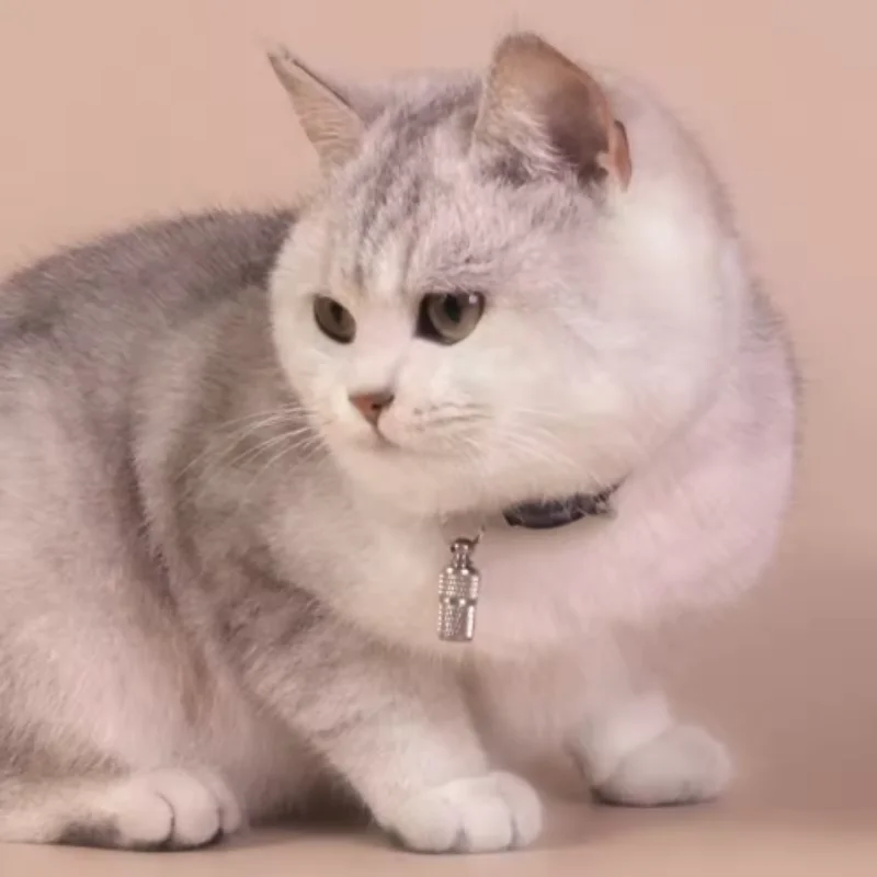 Dog Cat Storage Tub…