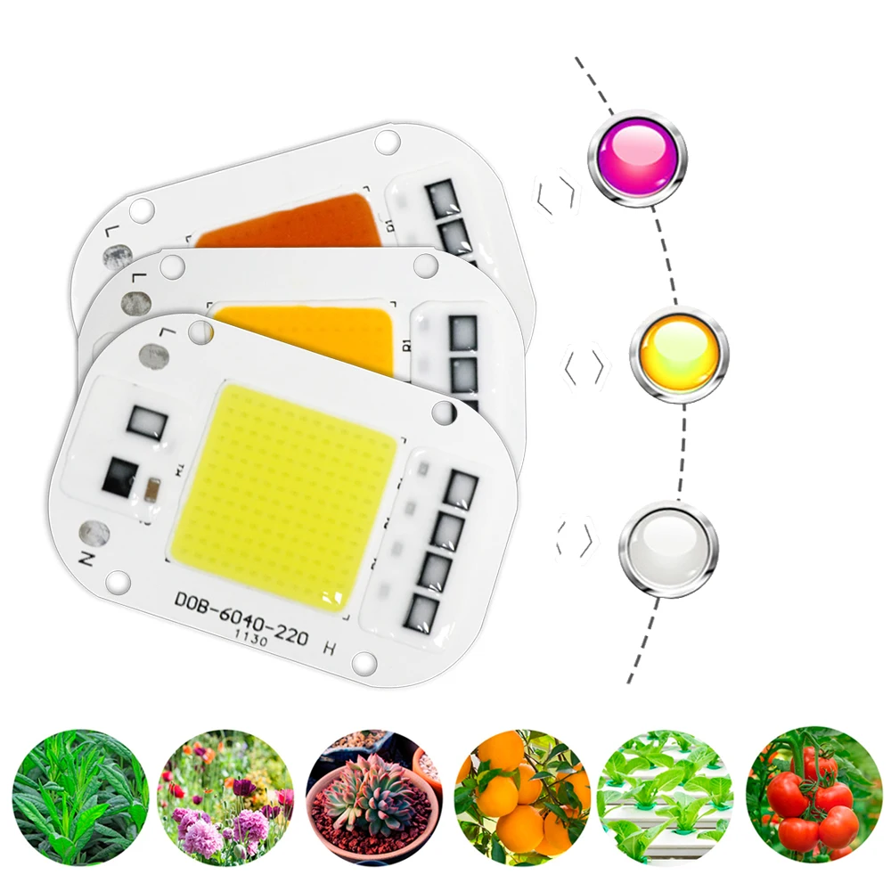 Driverless LED Lâmpada Beads, DIY Lâmpada LED, Full Spectrum Grow Light Floodlight, Módulo Chip, Sem Necessidade de Driver, DOB AC, 220V, 230V, 240V