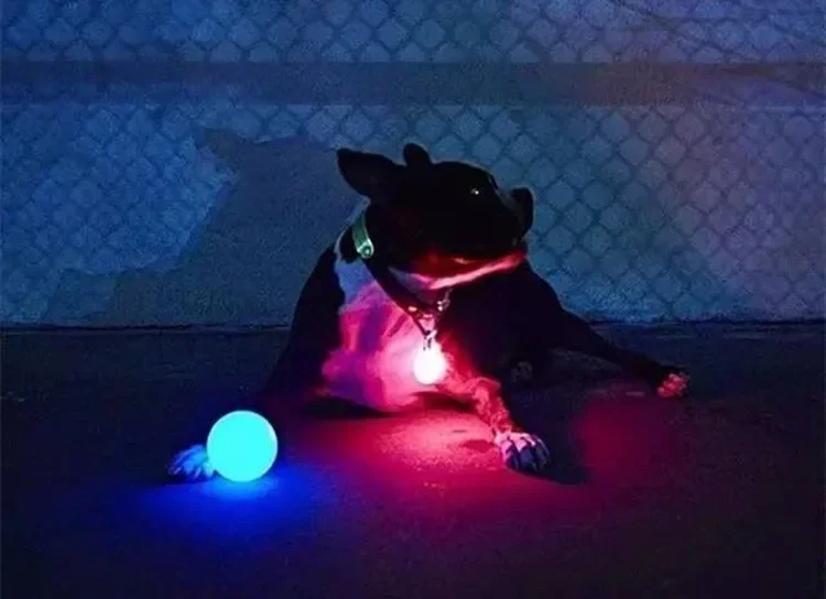 Luminosi giocattoli per morso di cane da compagnia LED notte incandescente giocattoli per cuccioli palla da masticare per cani trasformazione