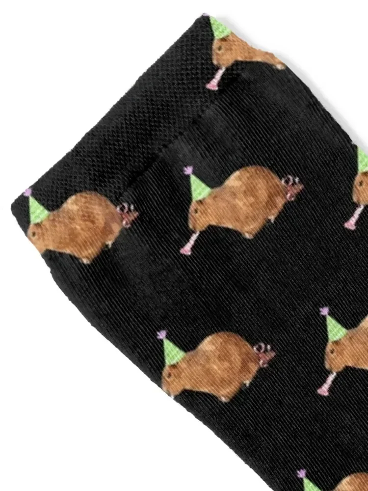 Birthday Capybara Socks short Hiking boots funny gifts floral Socks Men's Women's