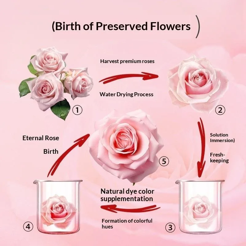 Preserved Flower Gift Box Eternal Rose Jewelry Storage Box, Romantic Valentine's Day Birthday Gift, Anniversary Home Desk Decor - view 4