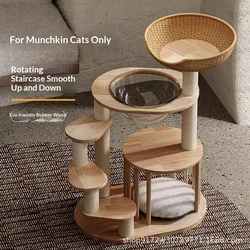 Árbol para gatos Munchkin de madera maciza, cama y salto todo en uno