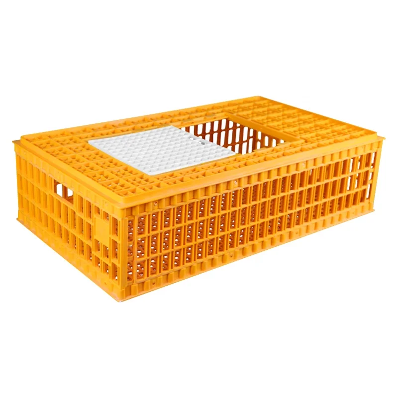 

hot sell transportation cage transfer boxes plastic chicken transport crates Plastic chicken cage