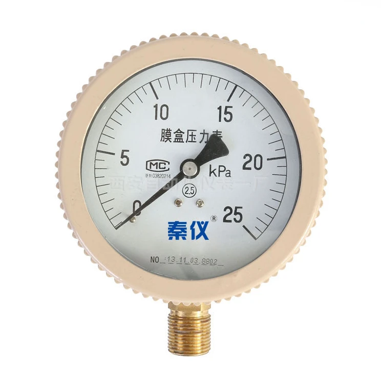 

Capsule Pressure Gauge YE-100