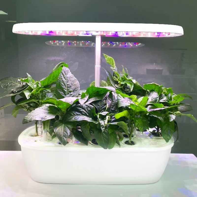 Smart Electronic Indoor Hydroponic Garden System High-Class Home Design Own Hydroponic Growing Systems