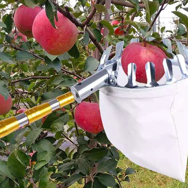 منتقي الفاكهة نطاق الفاكهة أداة التقاط الفاكهة Ramasse الضوضاء نطاق الموسيقى أورجنج لخزانة ملابس أظافرًا 15 مترًا أغطية ألعاب نطاق فواكه