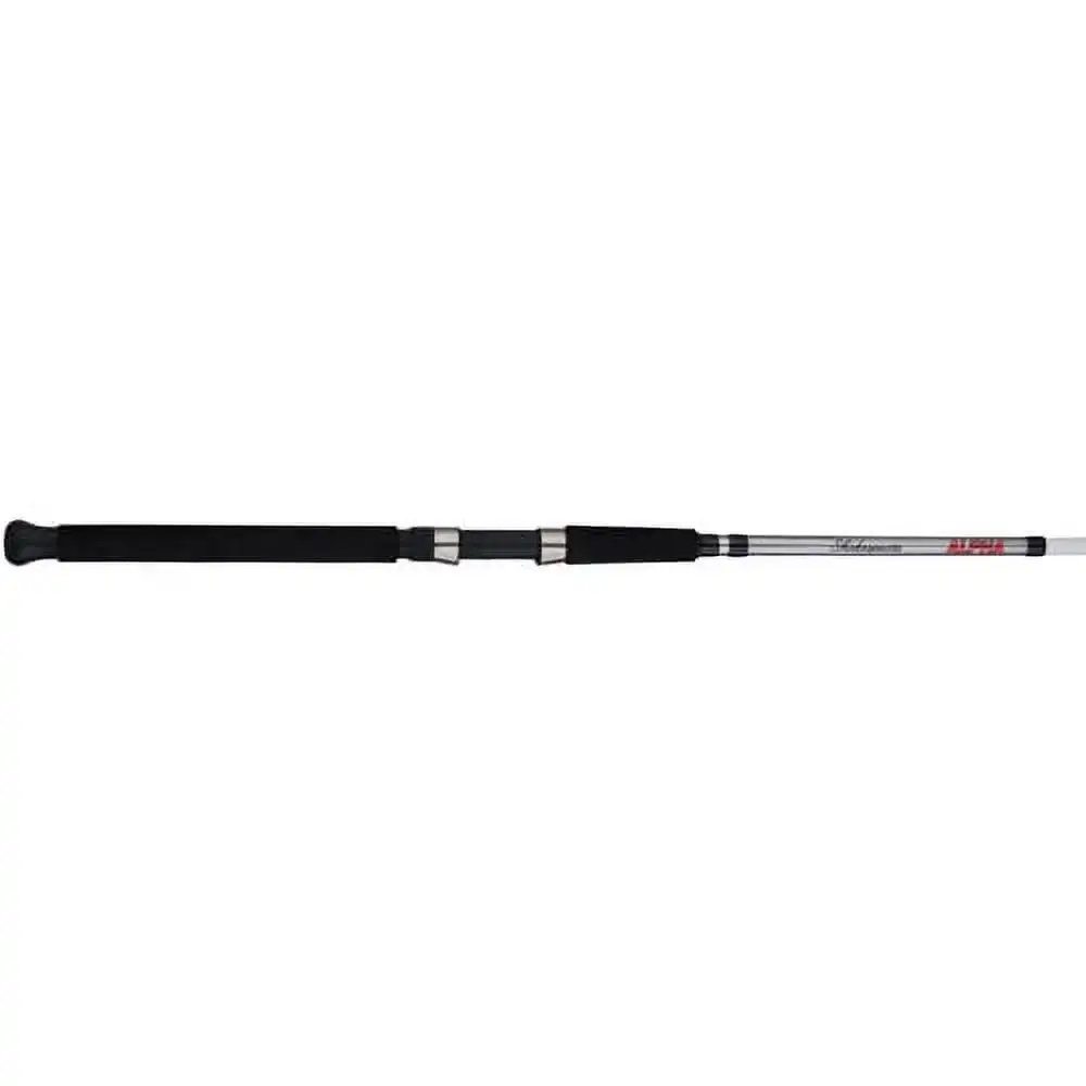 

Alpha Bigwater 9' Spinning Rod, 2-Piece Fishing Rod