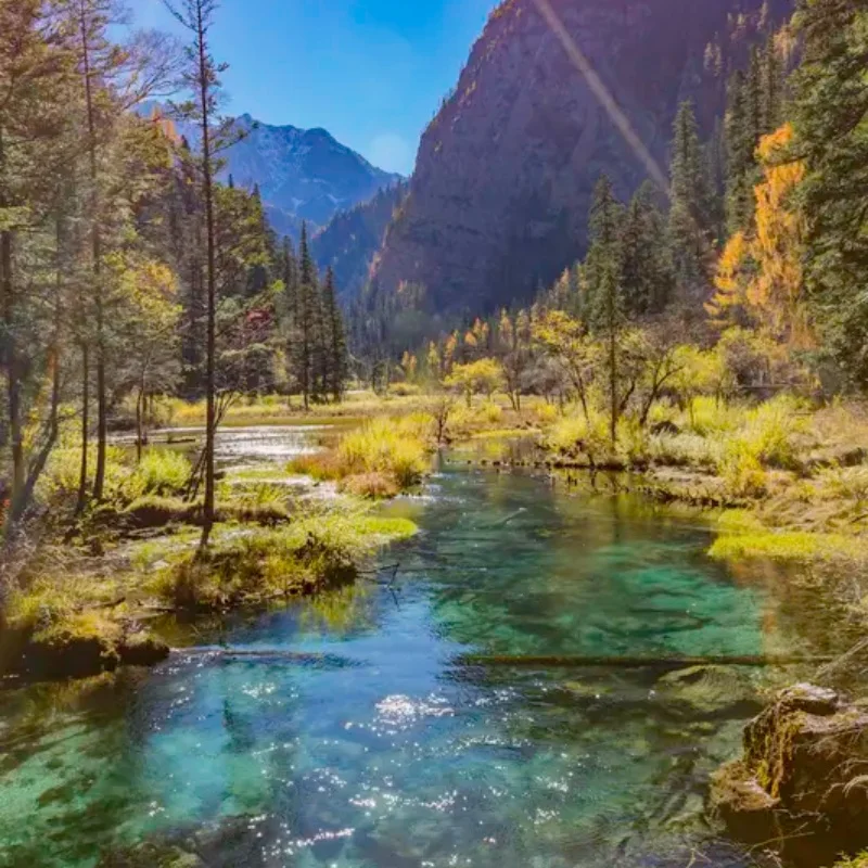 

Усилитель сигнала Caddx Walksnail Avatar Repeater-5.2/5.8G 7dBi LHCP 4км 9-26В для очков Avatar Goggles X, VRX, всех Walksnail VTX, RC FPV