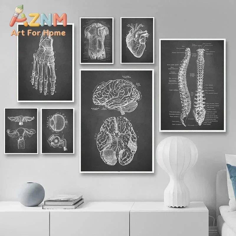 Black Wall Art Human Anatomy Canvas Painting Medical Wall Picture Skeleton Organ Muscle Poster Print Body Education Paintings