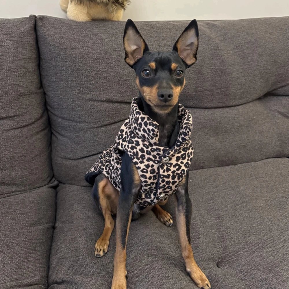 

Winter Pet Dogs Clothes Cotton-padded Jacket Leopard Dog Coat Jacket French Bulldog Clothing for Small Medium Dogs Pet Costumes