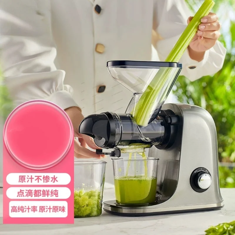 Low Speed Juicer, Automatic Mini Slow Masticating Juicer with Pulp-Juice Separation for Home Fruits & Vegetables