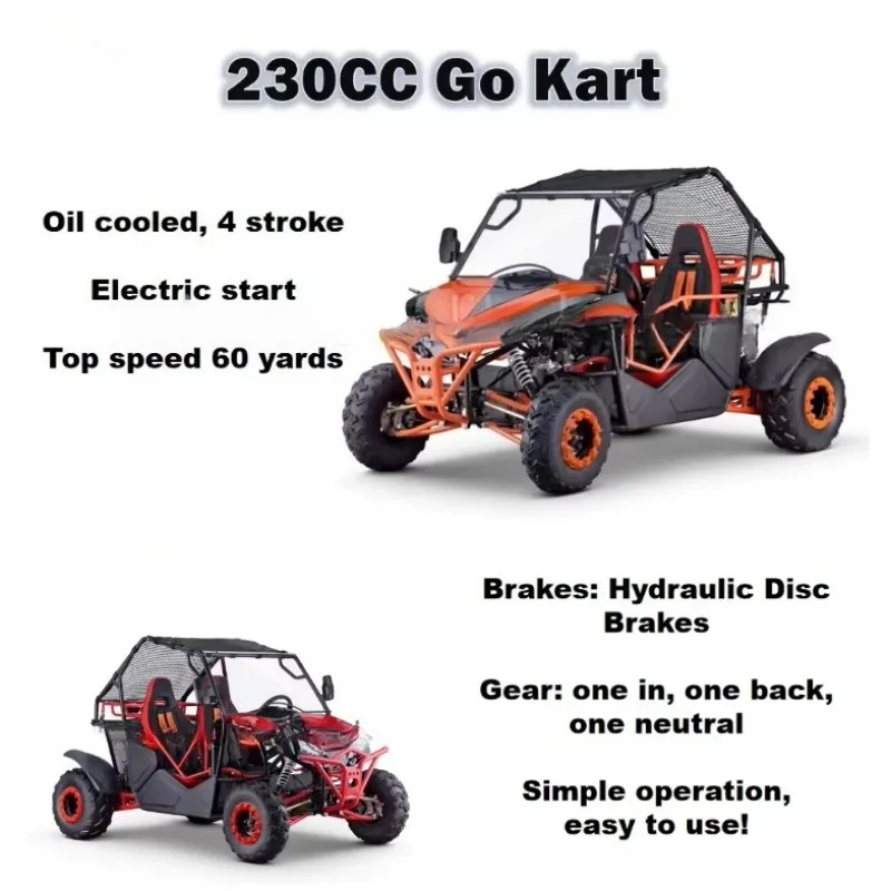 SWICOO Factory Sale 230cc 2 Seats Go Kart 4 Stroke Oil Cooled Go Cart Off Road Buggy Racing Car for Sale