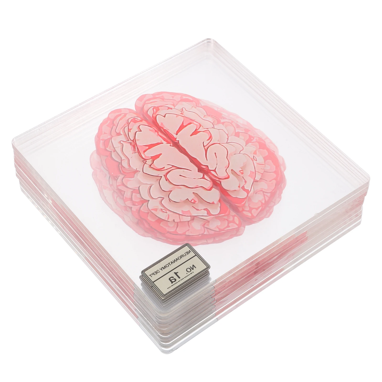 

10pcs Acrylic Blood Spatter Brain Slice Table Bowl Mats Hot Dishes Halloween Party Decor Retro Lace Funny Drink Kitchen Place