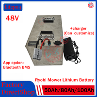 48V 50AH 80Ah 100Ah Lifepo4 lithium battery pack for Ryobi RM480e RM300e ZT480ex 300MV Zero Turn electric riding mower