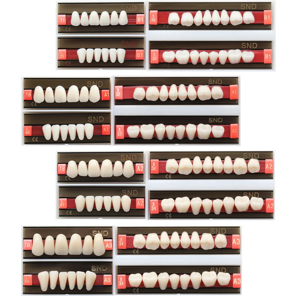 1Set(28 Pcs) Full Mouth 2 Layers Acrylic Synthetic Resin Teeth Whitening Anterior Posterior Denture Oral Care Dental Decorations