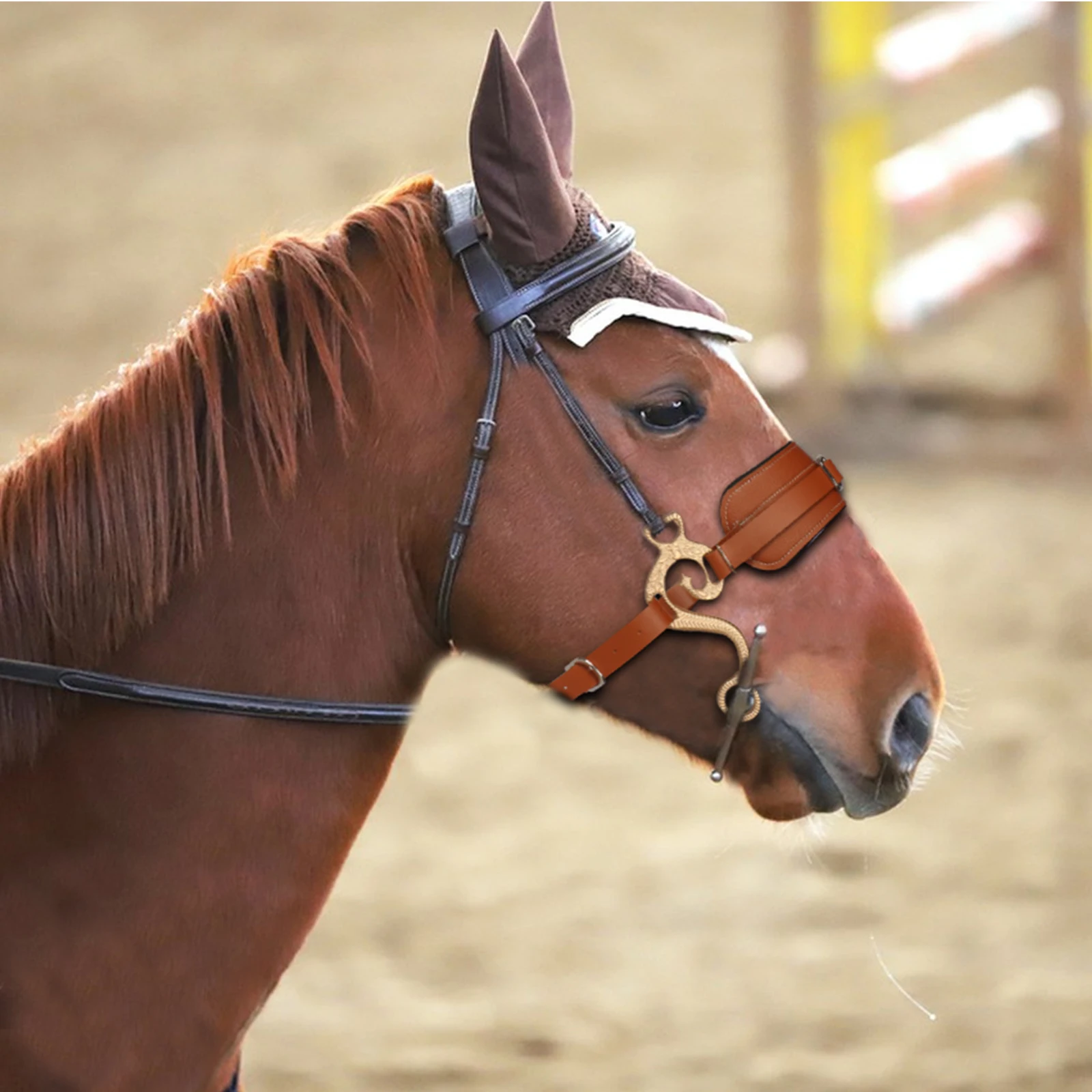 

Dwarf Maroon Horse Halter Rope Equestrian Supplies Leather Cage Set with Head Harness Horse Rug Type Accessories