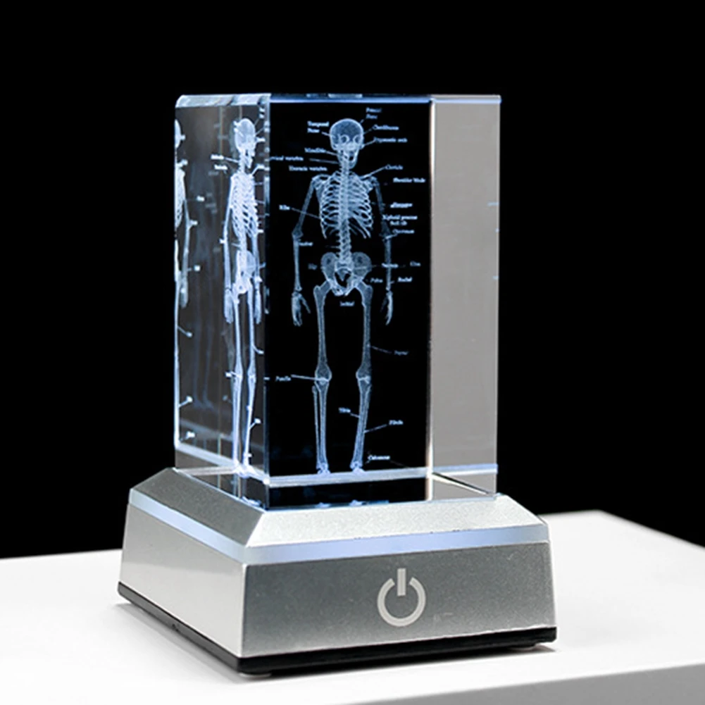 3D Laser Engraved Human Skeletal Crystal Cube Figurines, Medical Science Gifts, Organ Anatomical Model Paperweight B