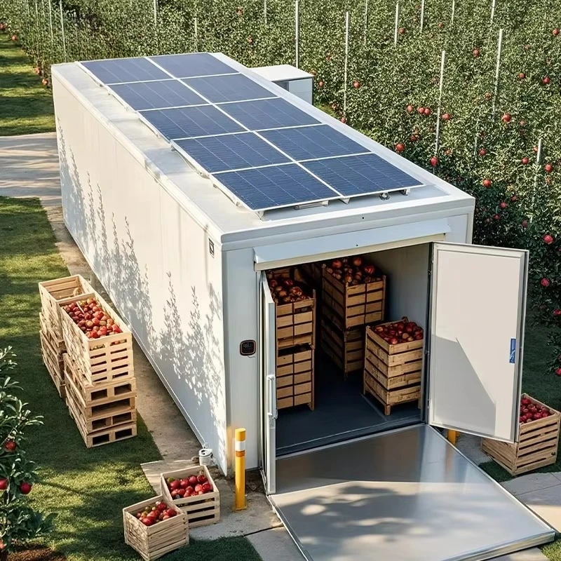 Solar Powered Walk-in Cold Storage Container With Battery Backup Fixed Cold Room Custom