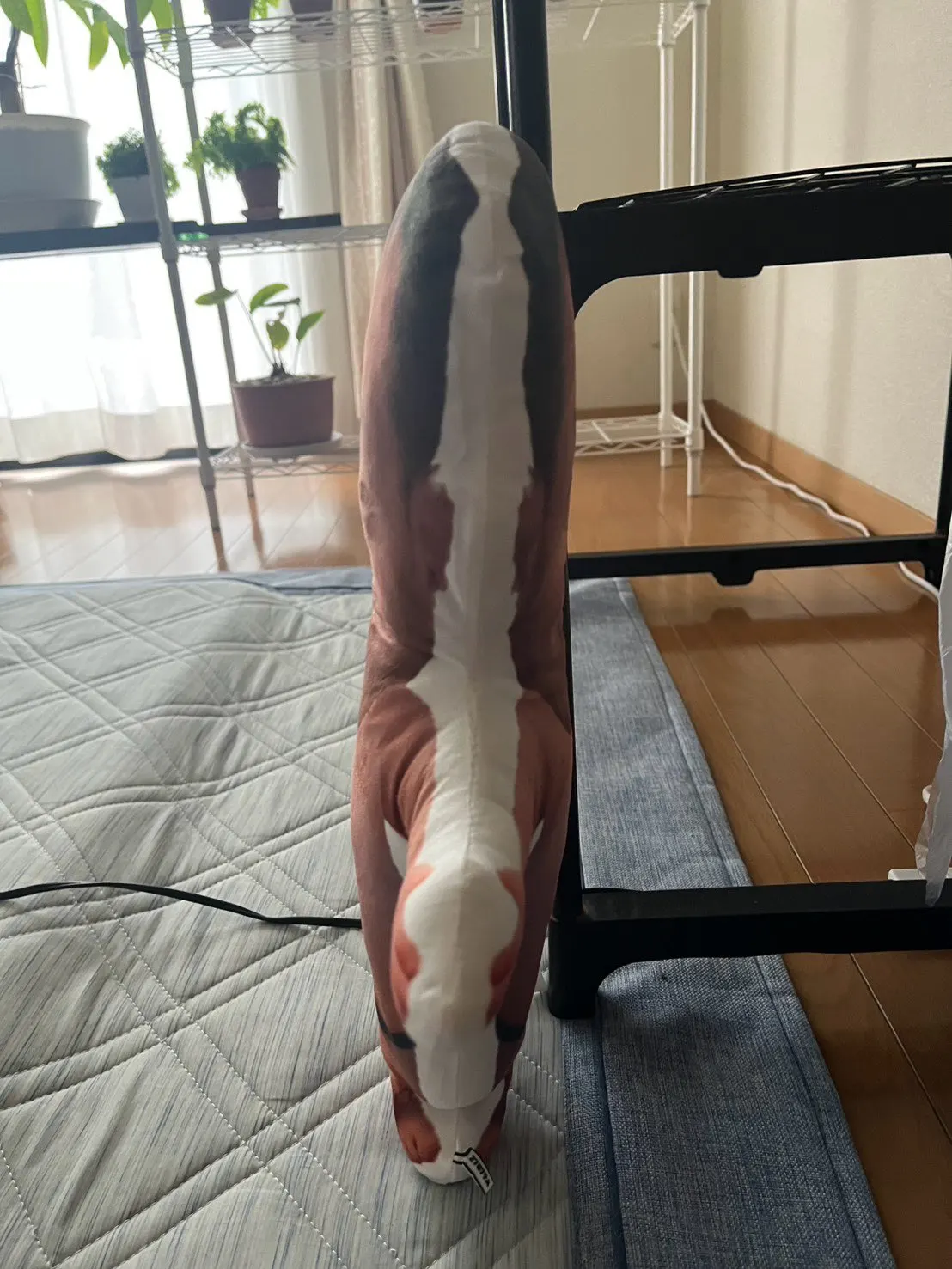 구매후기