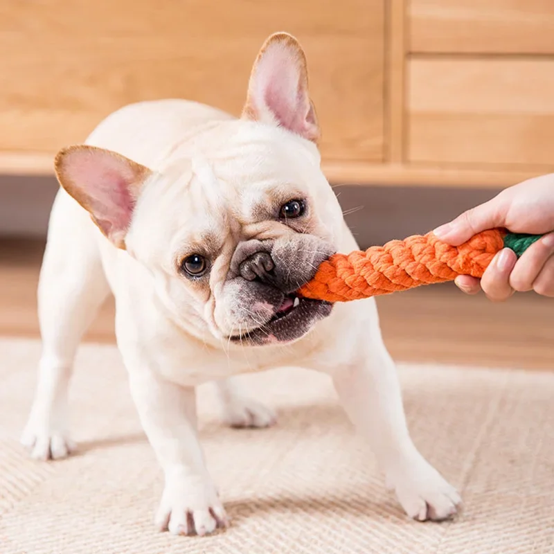 Multiple Puppy Medium Dog Rope Toys Bite Resistant Pet Chew Toy for Small Dogs French Bulldog Accessories Mascotas Supplies