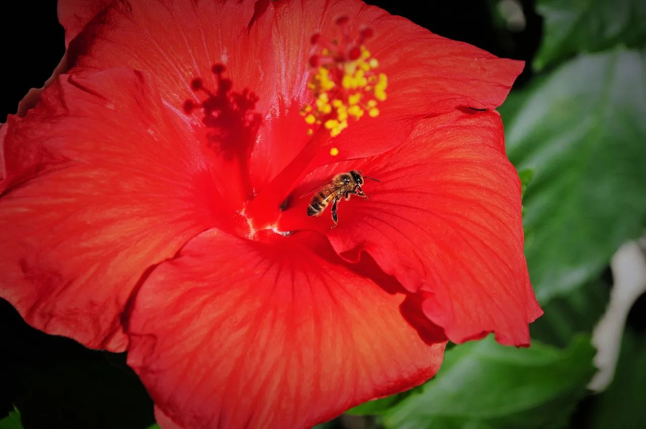 Metalowe osie portalowe przednie/tylne z blokadą mechanizmu różnicowego do TRX4/SCX10/GEN8 1/10 RC Crawler, części zamienne do tuningu, zwiększające przestrzeń podwozia.