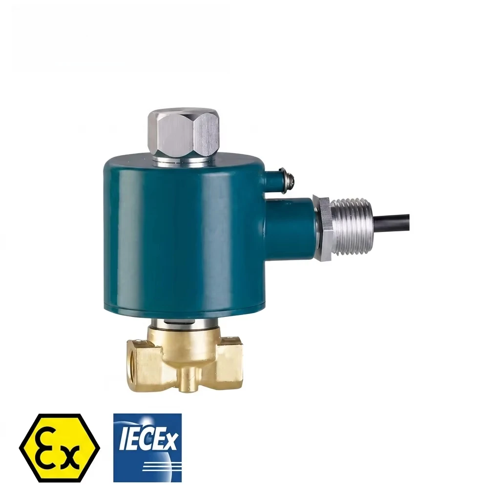 ZCSB Series Stainless Steel Brass Solenoid Valve 1/4 3/8 1/2 3/4 1 2 2.5 Inch Explosion Proof IECEx