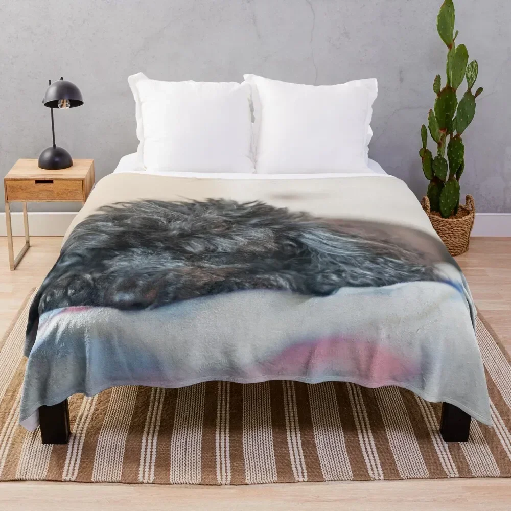 

Sleepy Princess Throw Blanket Men's Soft Warm Throw Blanket for Couch