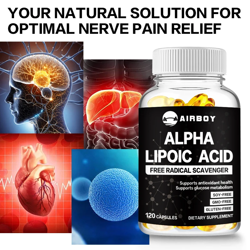 Acide alpha-lipoïque 600 mg, favorise l'anti-continuité, la santé des fourmis et le métabolisme du sucre