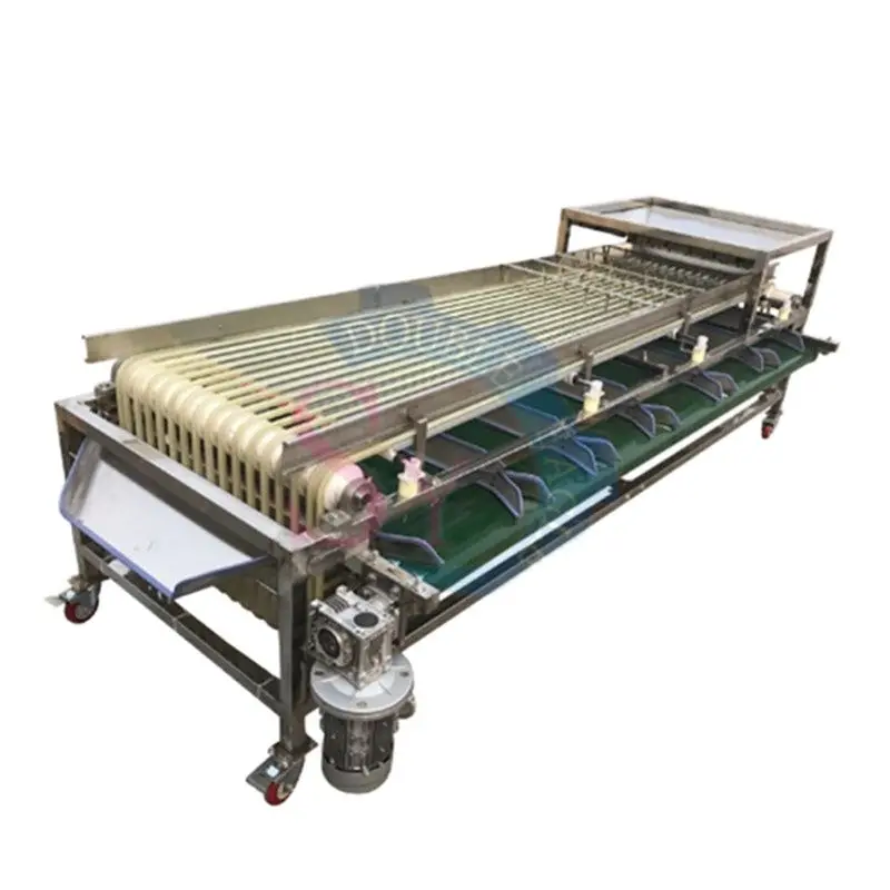 High Efficiency Industrial 6-Level Medium Hawthorn Grading Sorting Machine/Small Fruits Cherry Tomato Walnut Potato Sorter