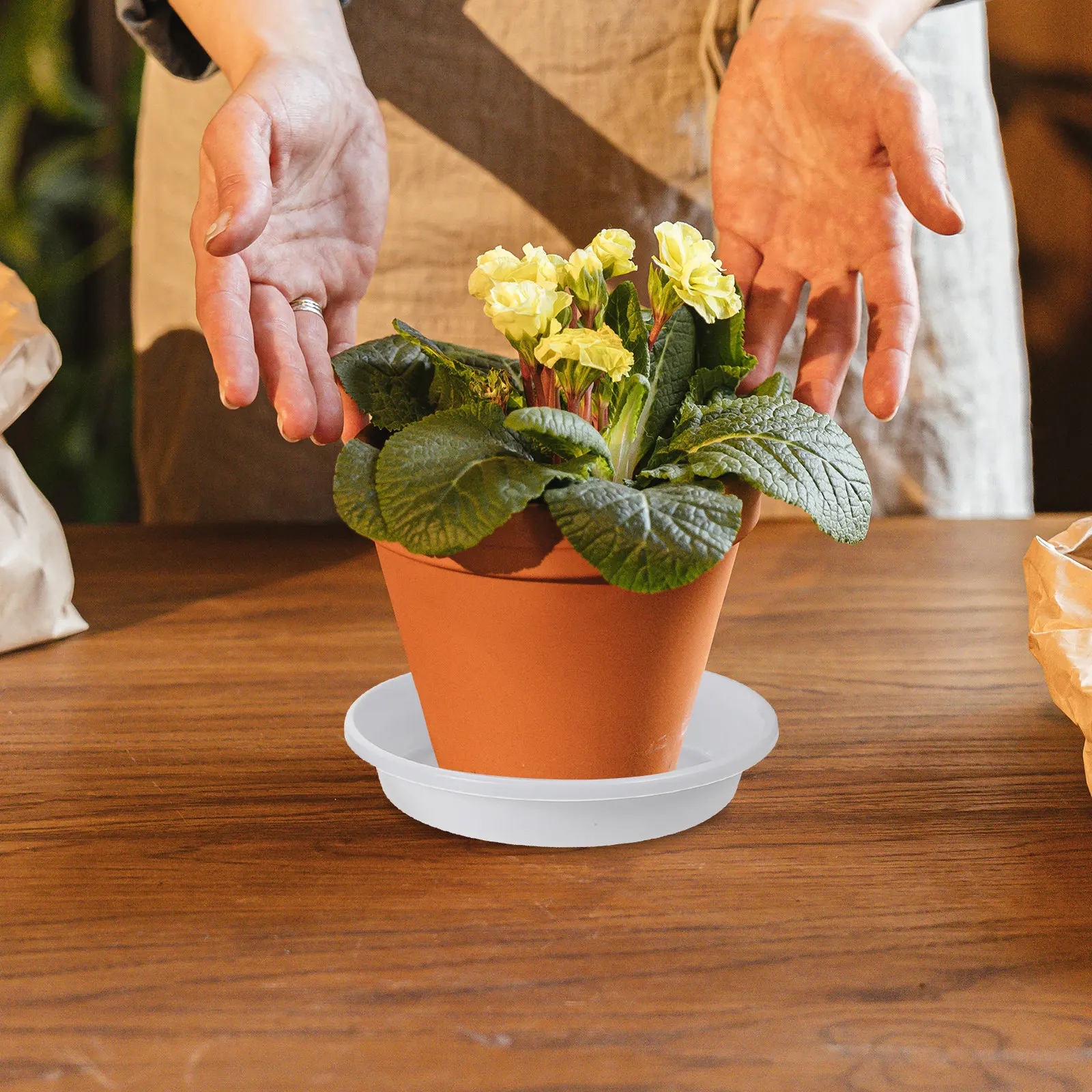 12pcs Round Plastic Plant Saucers – Drip Trays for Flower Pots, Indoor Plants Water Catcher to Prevent Leakage