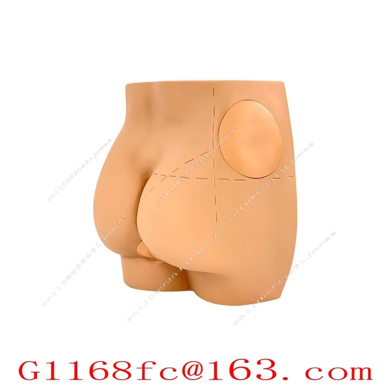 Human Buttocks Muscle Training Model Butt Module Training Exercise Mold