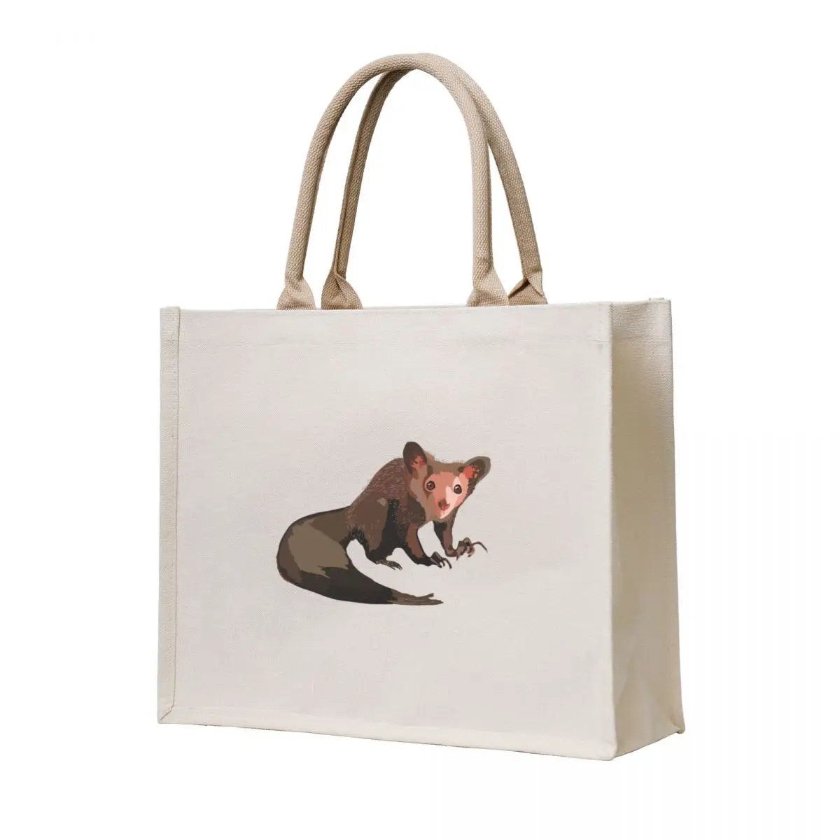 

A is for Aye Aye Tote Bag large tote bag Shopper handbag tote bag women