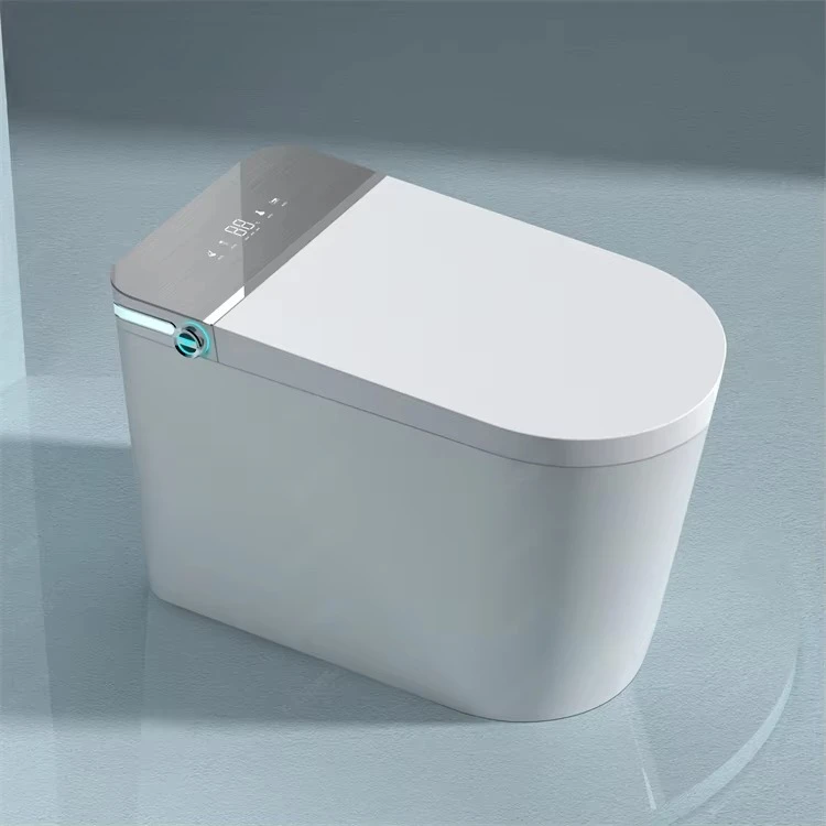 Intelligent Modern Home Bathroom Wc Bidet Toilet Instant-Heating Automatic Flush with Night Light Function White Smart Toilet