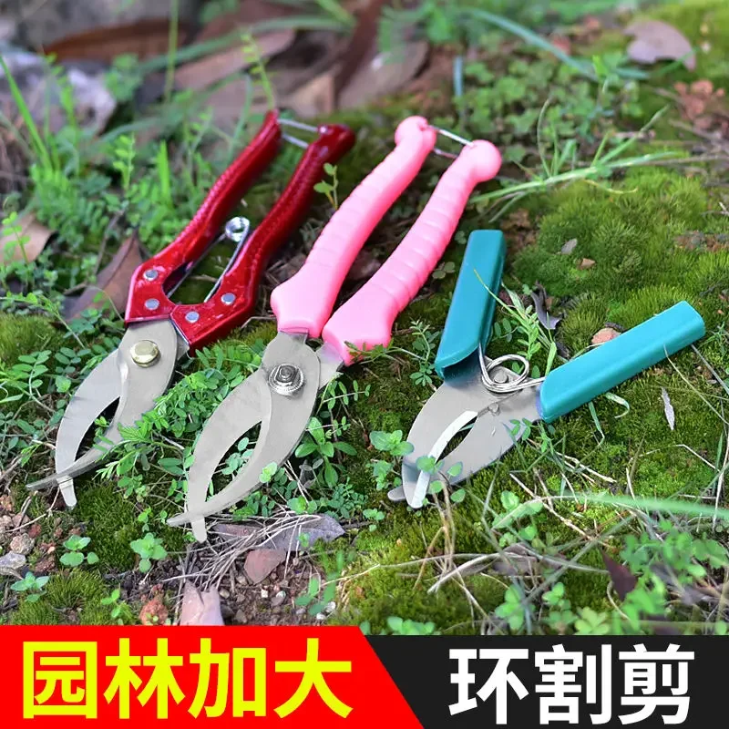果樹リング切断ナイフ リング切断ライチ柑橘類蜂蜜ザボン果樹皮むきリング切断ナイフ 芽接木ナイフ