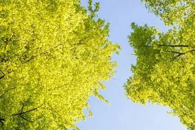 

4Pcs Hex Screwdriver Set 1.5mm 2.0mm 2.5mm 3.0mm Portable Model Car Maintenance Tools RC Screwdriver Rc Tool for RC Car Boat