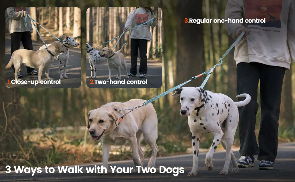 Double Dog Leash No Tangle Dual Dog Leash Lead Coupler Splitter Adjustable Two Handle Training Walking for Medium and Large Dog