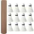 12Pcs