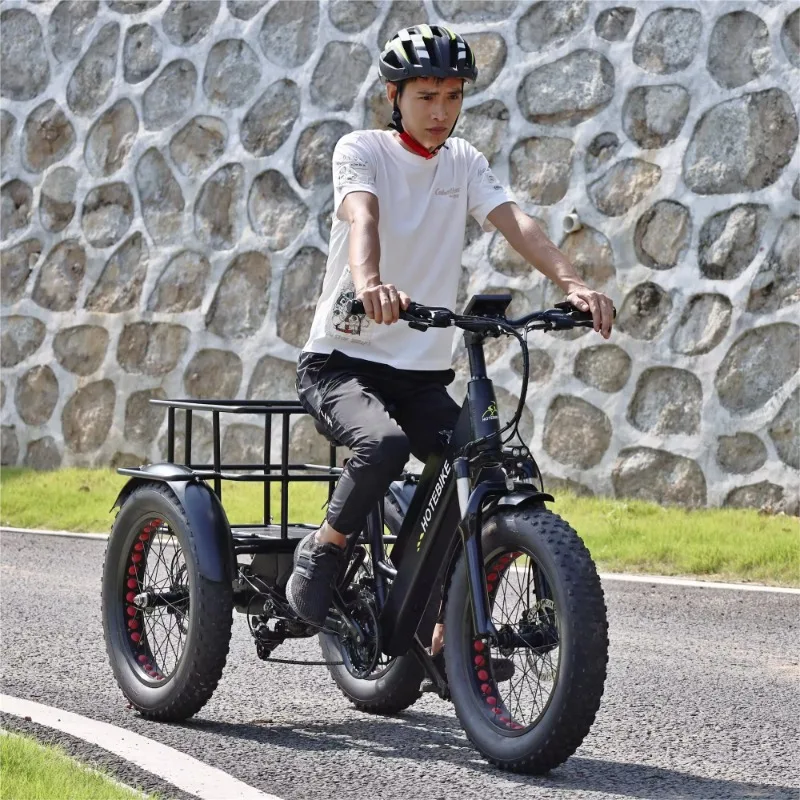 Electric cargo bike 36v 250w 20*4 26 inch Rear motor 350w 48v 500w 750w fat tire bike electric bike 3 wheel electric tricycle