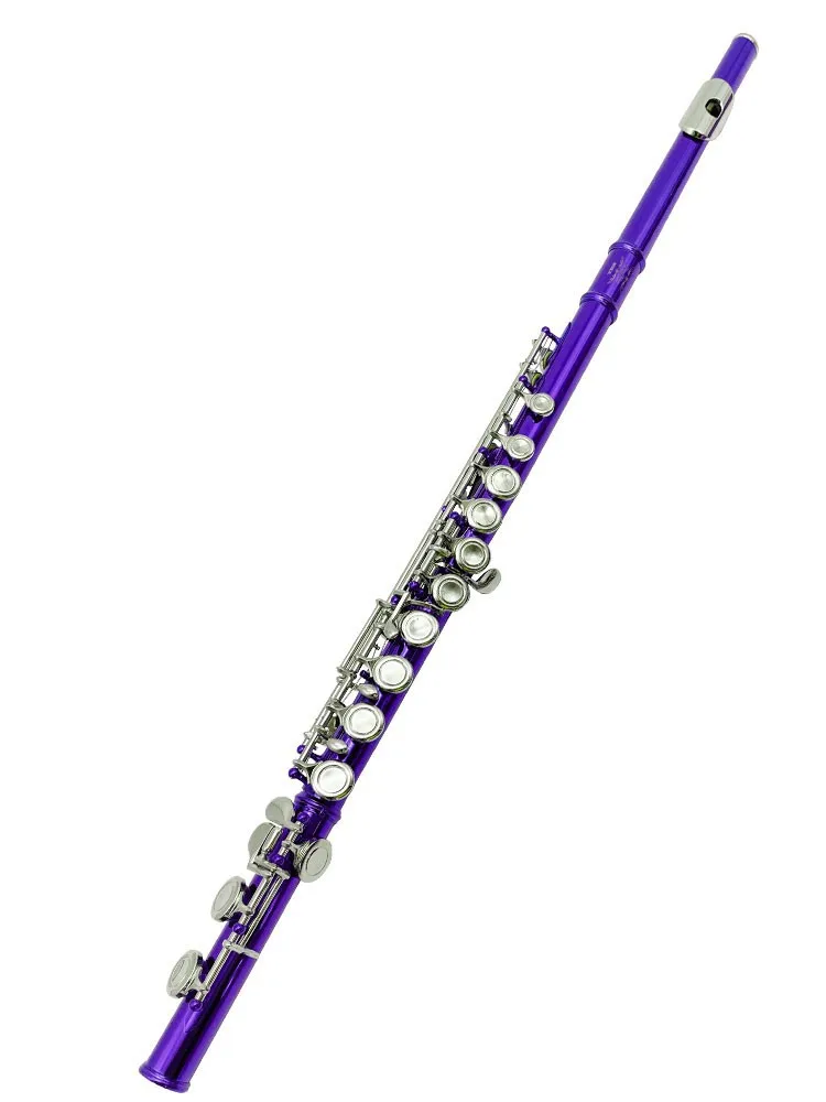 Wholesale color 16 hole E key blue purple student beginner professional practice flute