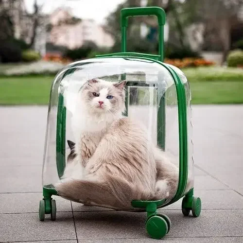 Outdoor Travel Cat Carriers Clear Trolley Strollers Stroller Space Breathable Cat Carrier Stuff Mochila Para Perro Cats Products