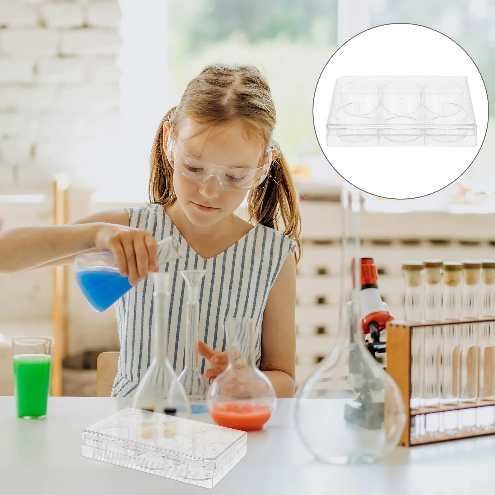 

Disposable Cell Culture Plate For Lab With Lid Clear Polystyrene Petri Dish Flat Surface Multi-Functional Tissue Culture Tool