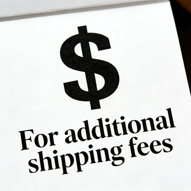 This link is for paying additional shipping fees. Please do not place an order if customer service has not contacted you!
