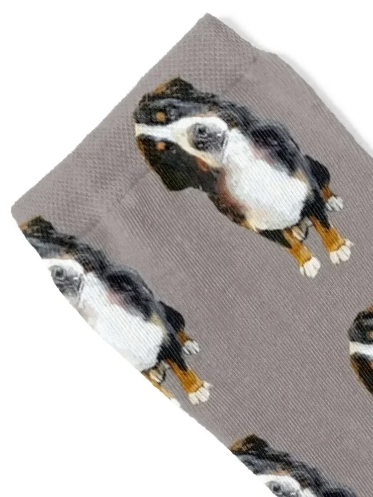 Bernese Mountain Dog Cute Head Tilt Socks designer brand sheer anime Socks For Girls Men's