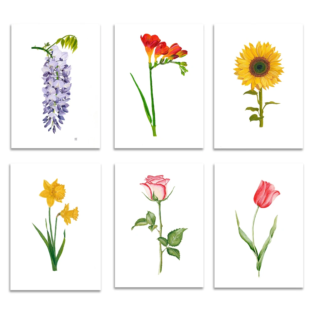 Rose,Tulip,Freesia,Wisteria ,Daffodil Oil Paint Print, Flower print, Spring flower painting, Botanical Print, Home Decor print,