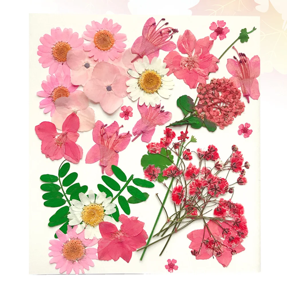 30 個ピンク押し花本物の自然色 DIY フラワークラフト材料結婚式の装飾ホームオフィスパーティー手作り花