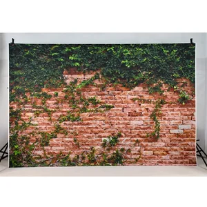 6 Hauptverkauf rustikaler fotografischer Hintergrund - №6