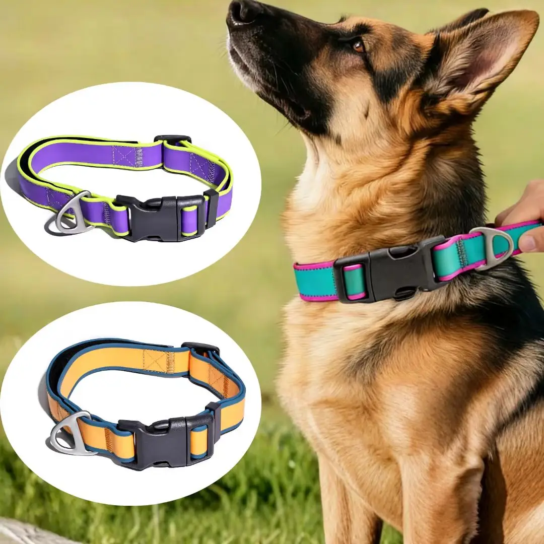Collier pour chien réglable et imperméable avec boucle rapide_voghion.com
