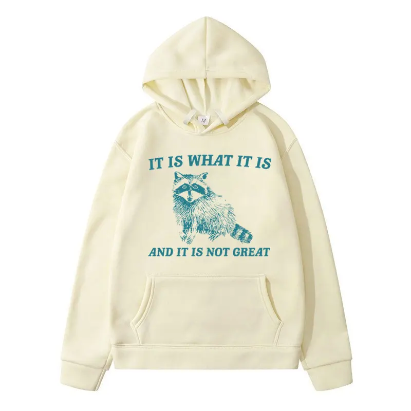 It Ls What Lt Ls and Lt Ls Not Great Hoodie Fuuny Meme Raccoon Printed Sweatshirts Men Women's Oversized Streetwear Pullover